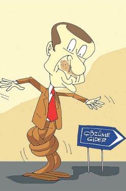 TBMM yemin töreni karikatürlere konu oldu - Resim 3