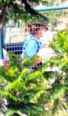 Ali Taran ve Ayşe Özyılmazel'in evleneceği villa - Resim 2
