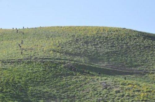 Mehmetçik kaçan teröristlerin peşinde