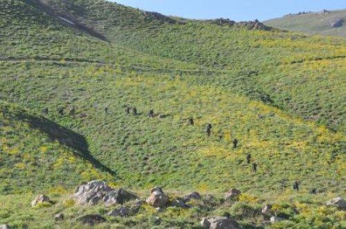 Mehmetçik kaçan teröristlerin peşinde