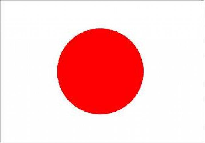 Ülke bayraklarının anlamları