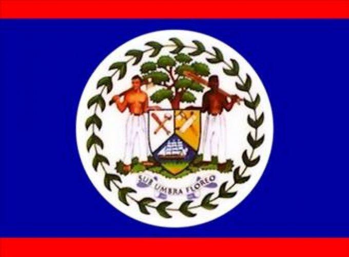 Ülke bayraklarının anlamları