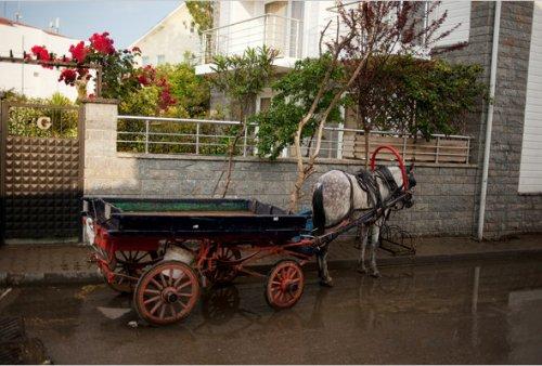 New York Times: Büyükada rüya gibi - Resim 8