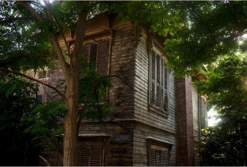 New York Times: Büyükada rüya gibi - Resim 3