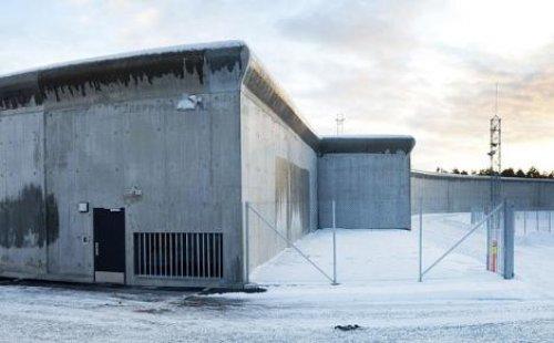 Norveç canisi bu odada yatacak