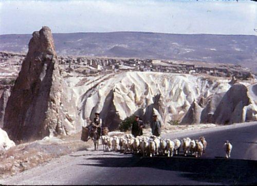Bit pazarındaki Türkiye fotoğrafları - Resim 7