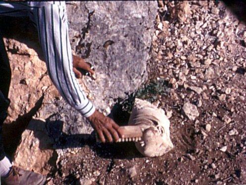 Bit pazarındaki Türkiye fotoğrafları - Resim 2