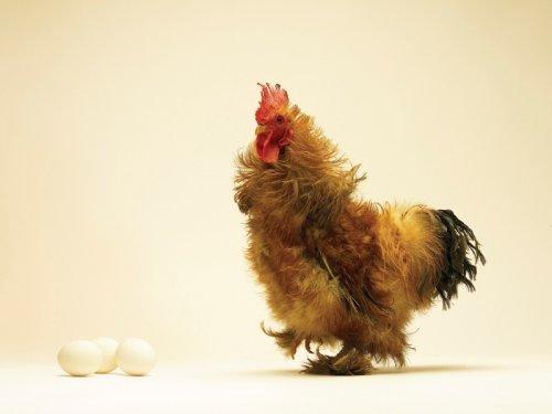 Reklamcıdan yaratıcı fotoğraflar - Resim 5