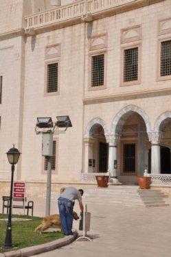 Kadın vekil şehit cenazesinde saf tuttu