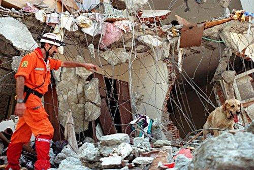 17 Ağustos 1999 depremi - Resim 54