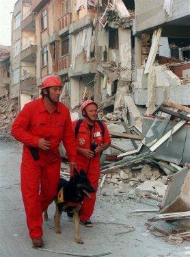 17 Ağustos 1999 depremi - Resim 68