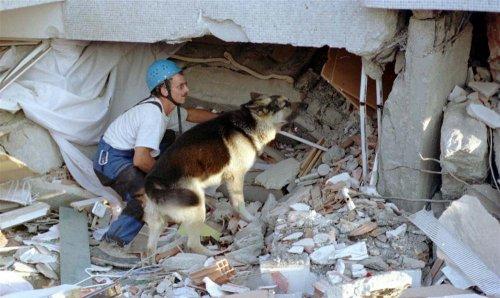 17 Ağustos 1999 depremi - Resim 88