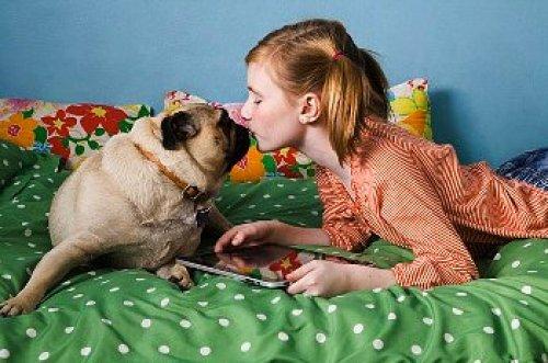 Tablet alacaklar nelere dikkat etmeli