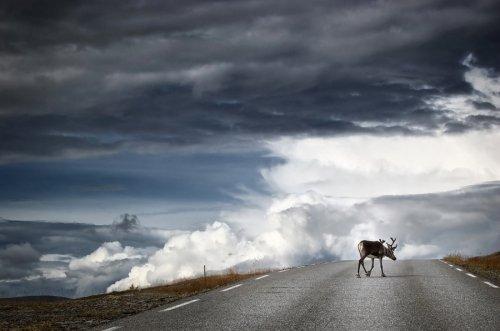 Doğadan nefes kesen fotoğraflar - Resim 14