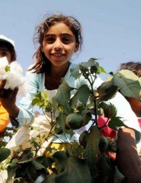 Şanlıurfa'da tarlalar dolu sınıflar boş - Resim 3