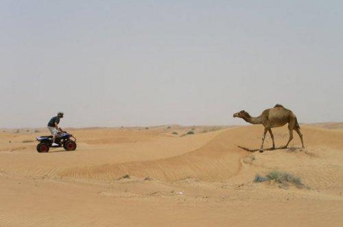 En tuhaf fotoğraflar