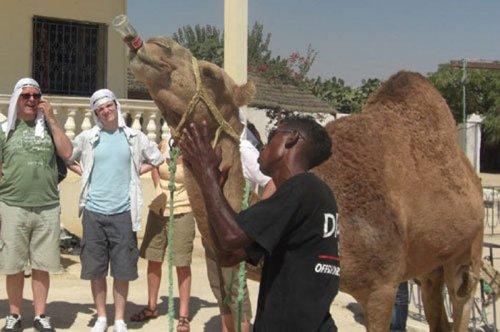 En tuhaf fotoğraflar