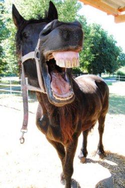 En tuhaf fotoğraflar