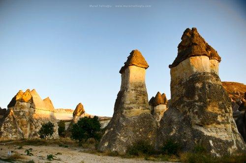 Kapadokya 'Güzel Atlar Ülkesi'