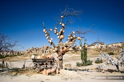 Kapadokya 'Güzel Atlar Ülkesi'