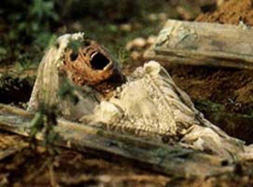 En iyi 100 korku filmi