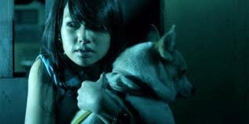 En iyi 100 korku filmi