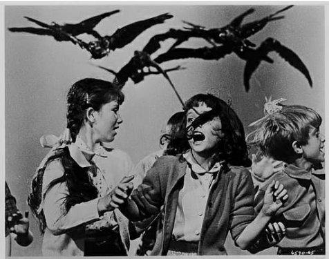 En iyi 100 korku filmi