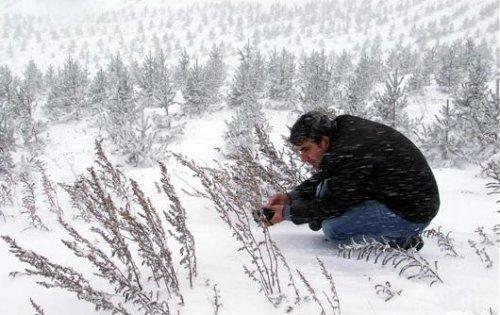 Ardahan'da şiddetli kar yağışı  - Resim 14