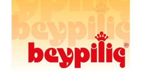 Anadolu'nun en büyük 500 şirketi - Resim 31
