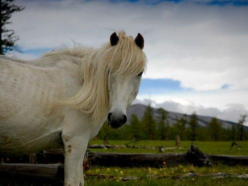 National Geographic'te geçen ay - Resim 30