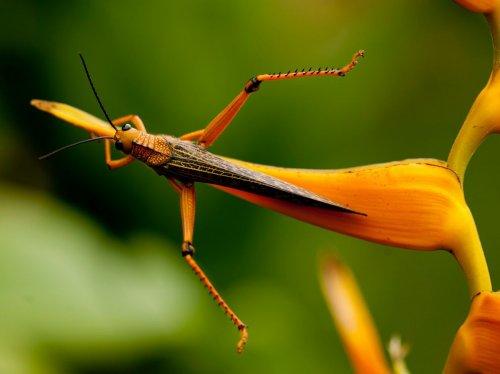 National Geographic'te geçen ay - Resim 10