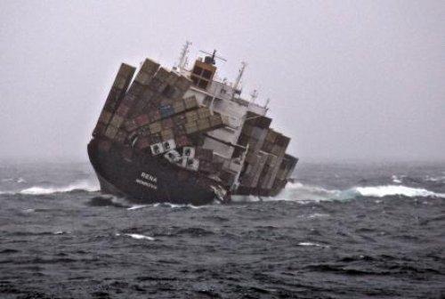 Yeni zelanda'da korkulu bekleyiş 