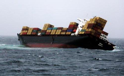 Yeni zelanda'da korkulu bekleyiş 