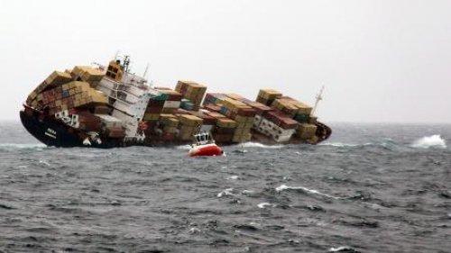 Yeni zelanda'da korkulu bekleyiş 