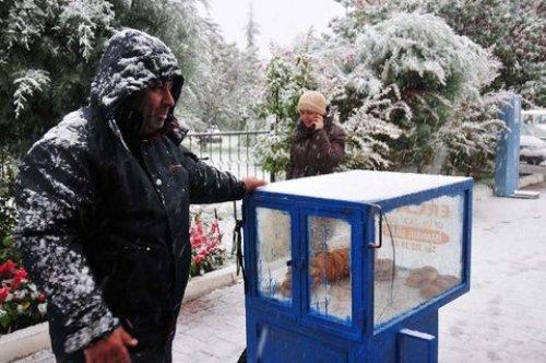 Kırklareli ve Edirne kara teslim - Resim 7