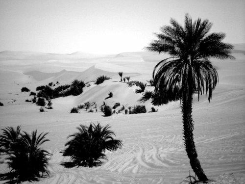 Kaddafi'nin hayatından ilginç anekdotlar