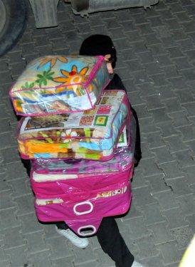 Kare kare Van depremi