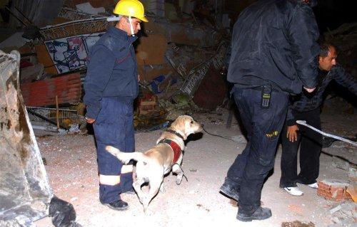 Kare kare Van depremi