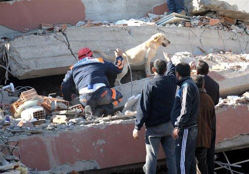 Kare kare Van depremi