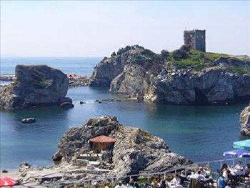 İstanbul'un hangi semtinde en çok nereli var