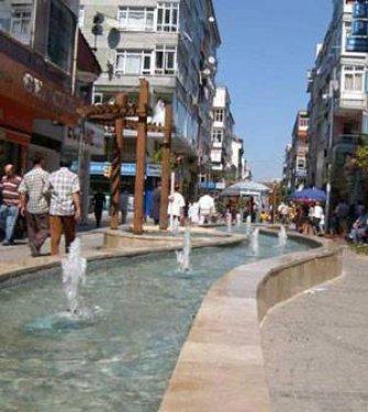 İstanbul'un hangi semtinde en çok nereli var