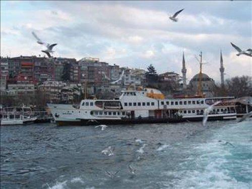 İstanbul'un hangi semtinde en çok nereli var