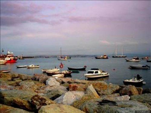 İstanbul'un hangi semtinde en çok nereli var