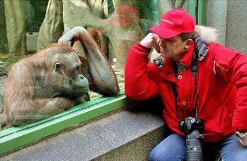 Sanal alemin tıklanma rekoru kıran fotoğrafları - Resim 80