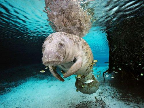 National Geographic'te Ekim ayı  - Resim 8