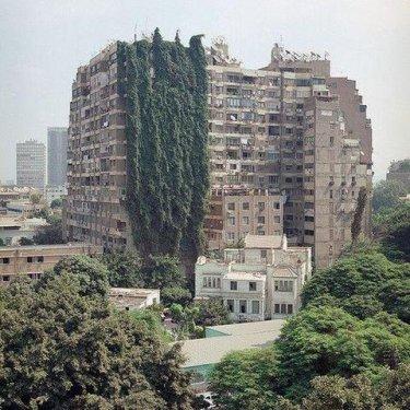 Sanal alemin tıklanma rekoru kıran fotoğrafları - Resim 122