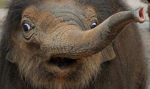 Sanal alemin tıklanma rekoru kıran fotoğrafları - Resim 53