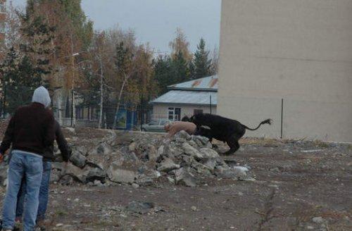 Türkiye'den Kurban Bayramı manzaraları