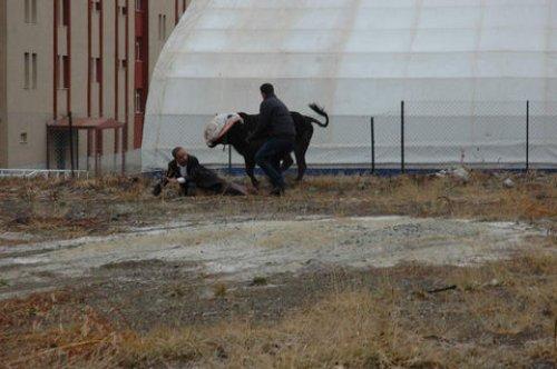 Türkiye'den Kurban Bayramı manzaraları
