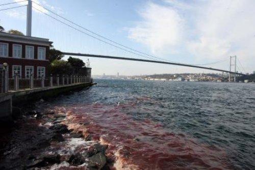 İstanbul Boğazı'na kan aktı - Resim 8